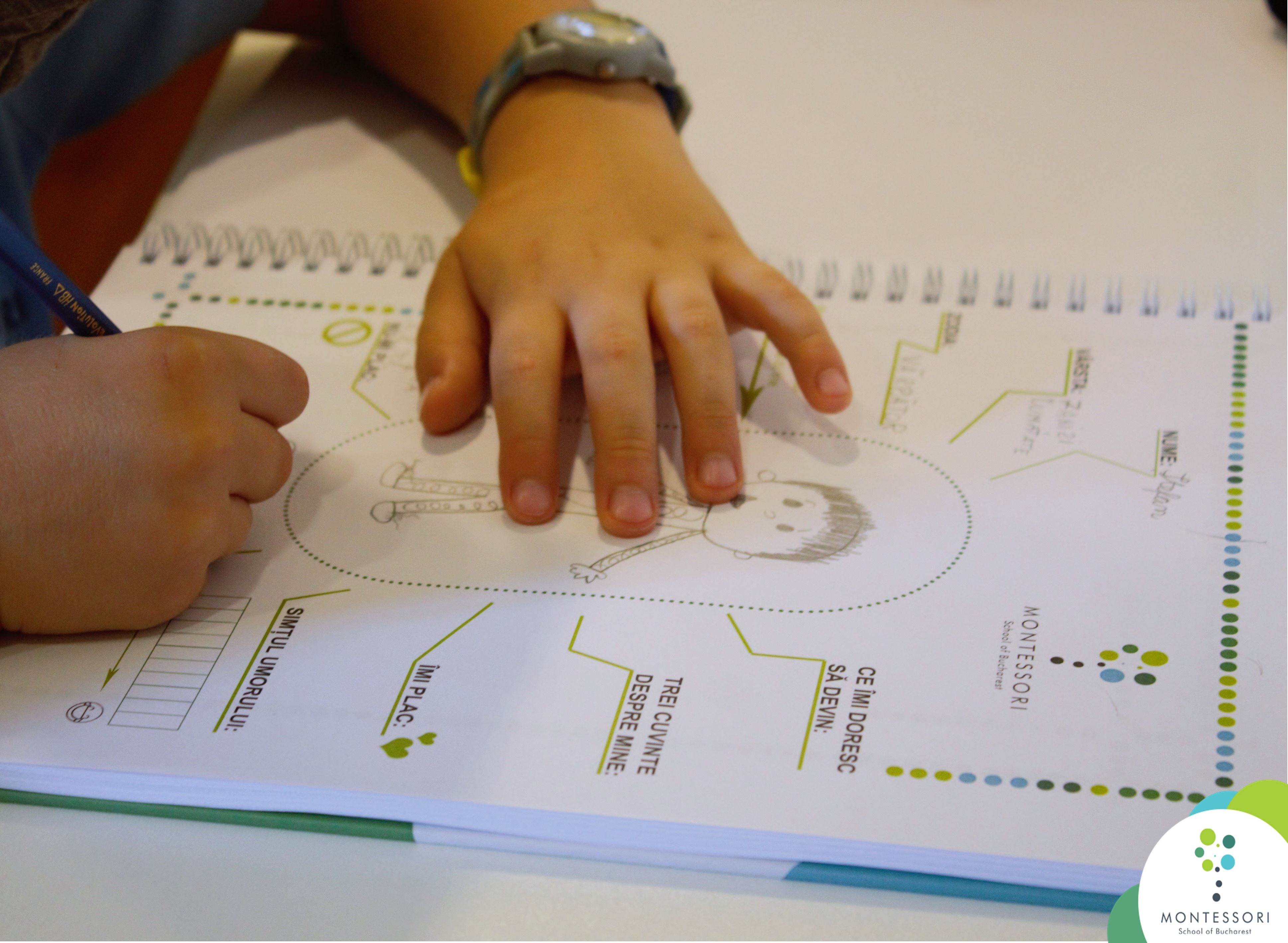 Curriculum 6-11 ani